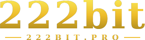 222bit logo